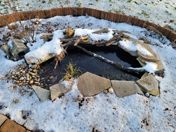 kerti tó télen kerti tó télen