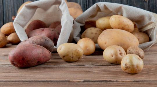 Burgonya tárolása télen – csírázás, rothadás, penész: mi mit jelent?
