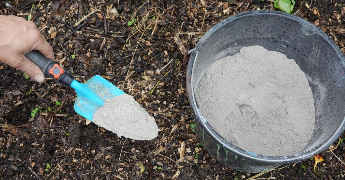 Hamu használata télen a kertben – hova TILOS szórni és miért? Hamu használata télen a kertben – hova TILOS szórni és miért?