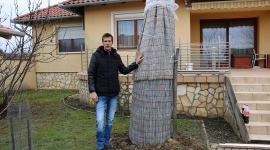Jön a lehűlés: veszélyben a fagyérzékeny növények! Jön a lehűlés: veszélyben a fagyérzékeny növények!
