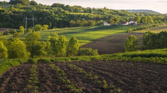 Módosul a Termőföldvédelmi törvény: új szabályok lépnek életbe