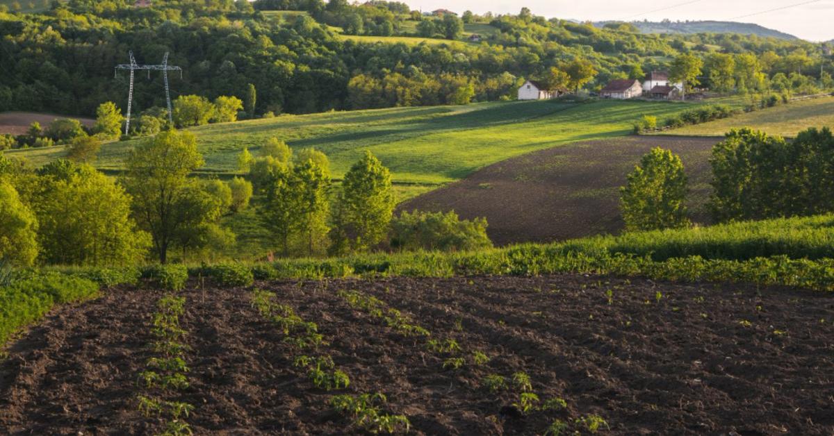 Módosul a Termőföldvédelmi törvény: új szabályok lépnek életbe
