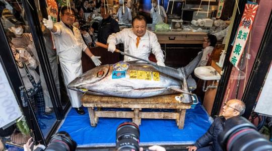 Brutális rekord: ismét szórta a pénzt a "tonhalkirály"