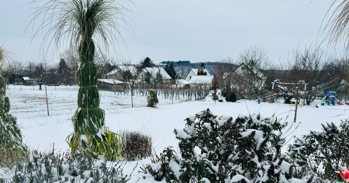 Fagyzug a kertben: a januári „hidegfoltok” kimutatása házilag
