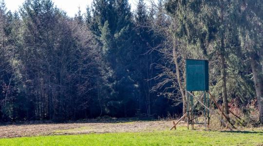 Másképp vadászunk 2026-ban, mint eddig