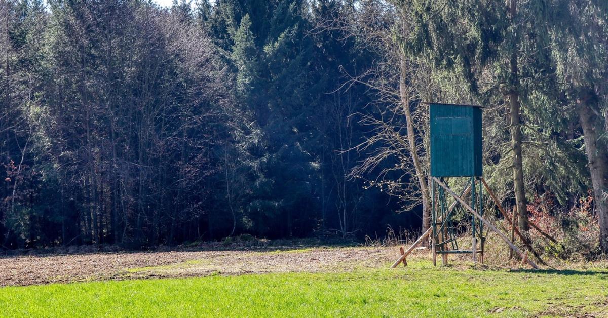 Másképp vadászunk 2026-ban, mint eddig Másképp vadászunk 2026-ban, mint eddig