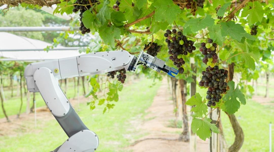 Itt a váltás ideje: a robot az 