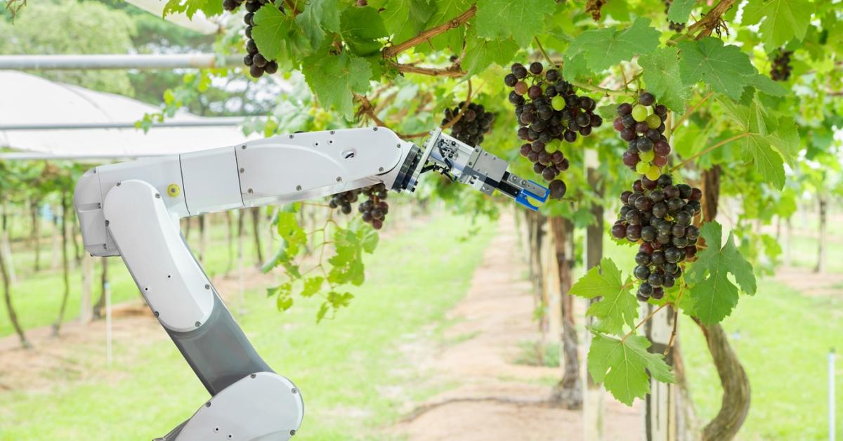 Itt a váltás ideje: a robot az "új metszőolló" Itt a váltás ideje: a robot az "új metszőolló"