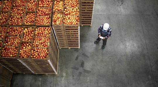 Egyre többen esznek lengyel almát az EU-n kívül is Egyre többen esznek lengyel almát az EU-n kívül is