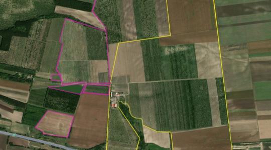 Több mint 130 ezer agrárhirdetés közül válogathatsz – értékben mégis ez lehet a piactér csúcsa Több mint 130 ezer agrárhirdetés közül válogathatsz – értékben mégis ez lehet a piactér csúcsa