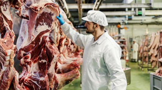 Előre jelezhető az élelmiszerek eltarthatósága