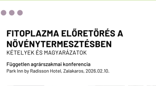 Fitoplazma előretörés a növénytermesztésben – kétségek és magyarázatok