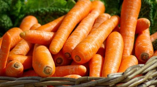 Végre egy zöldség, amiért egyre többet kapnak a lengyel termelők Végre egy zöldség, amiért egyre többet kapnak a lengyel termelők