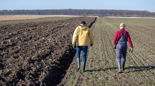 Új lendületben a magyar agrárium: minden eddiginél több forrás a gazdáknak +VIDEÓ