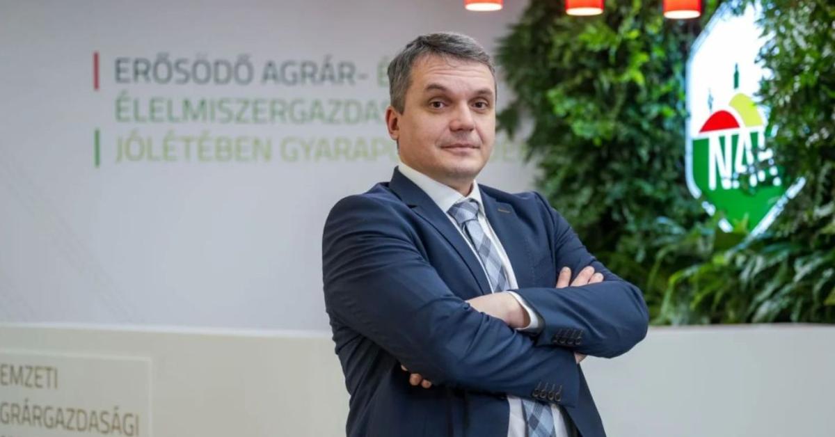 Amikor minden ellened dolgozik: ki segít a gazdának? Amikor minden ellened dolgozik: ki segít a gazdának?