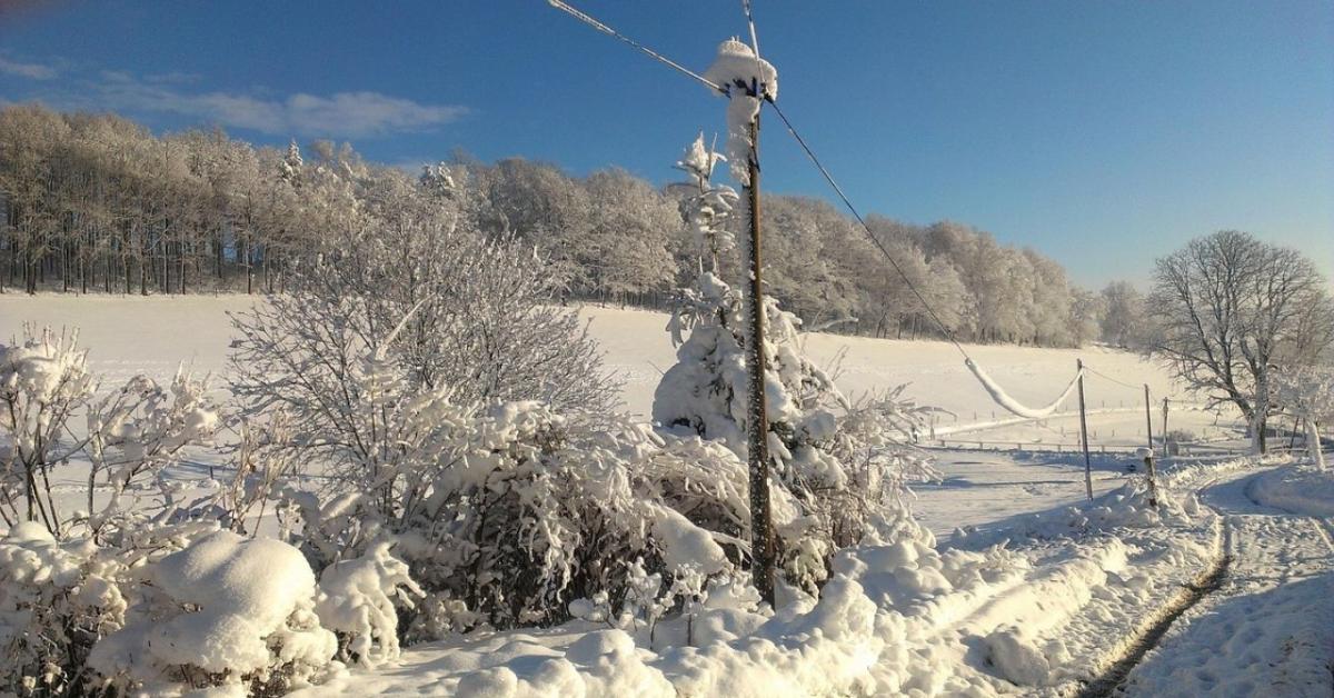 Agrometeorológia: A tél most segít, de a tavasz dönt