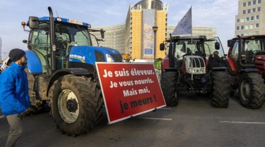 Brutális fennakadások: belga traktorosok tiltakoznak az EU–Mercosur megállapodás ellen Brutális fennakadások: belga traktorosok tiltakoznak az EU–Mercosur megállapodás ellen