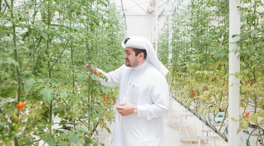 Lassan mi is a sivatagi gazdáktól tanulunk, és van is mit