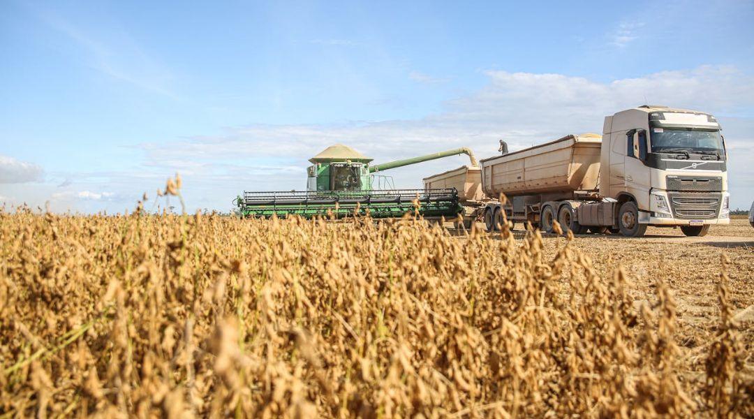 Fejlesztői kerekasztal: Miért fontos a termőhely–tenyészidő–érésidő megfelelő összehangolása?