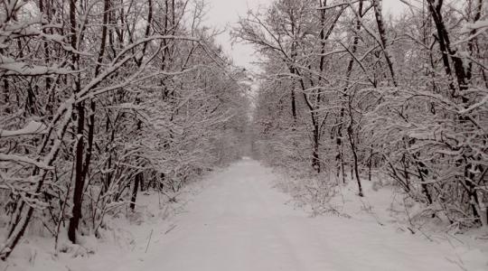 Időjárás: Új hét, új remény, de semmi jóra ne számíts – nehéz körülmények jönnek! +VIDEÓ Időjárás: Új hét, új remény, de semmi jóra ne számíts – nehéz körülmények jönnek! +VIDEÓ