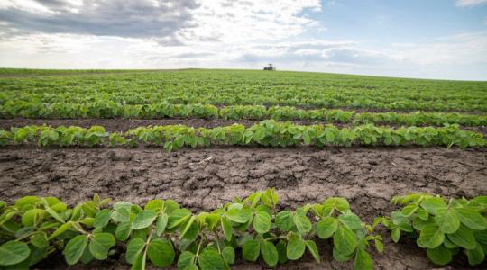 Stresszpontok szójában