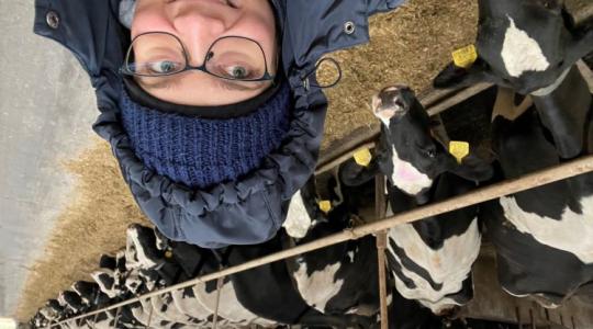 Kérődzők, járványok, tejválság: egy állatorvos őszinte helyzetképe