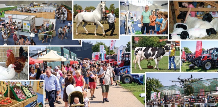 farmer expo farmer expo