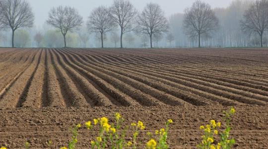 Ezért lett Európa-szerte sürgető a regeneratív fordulat