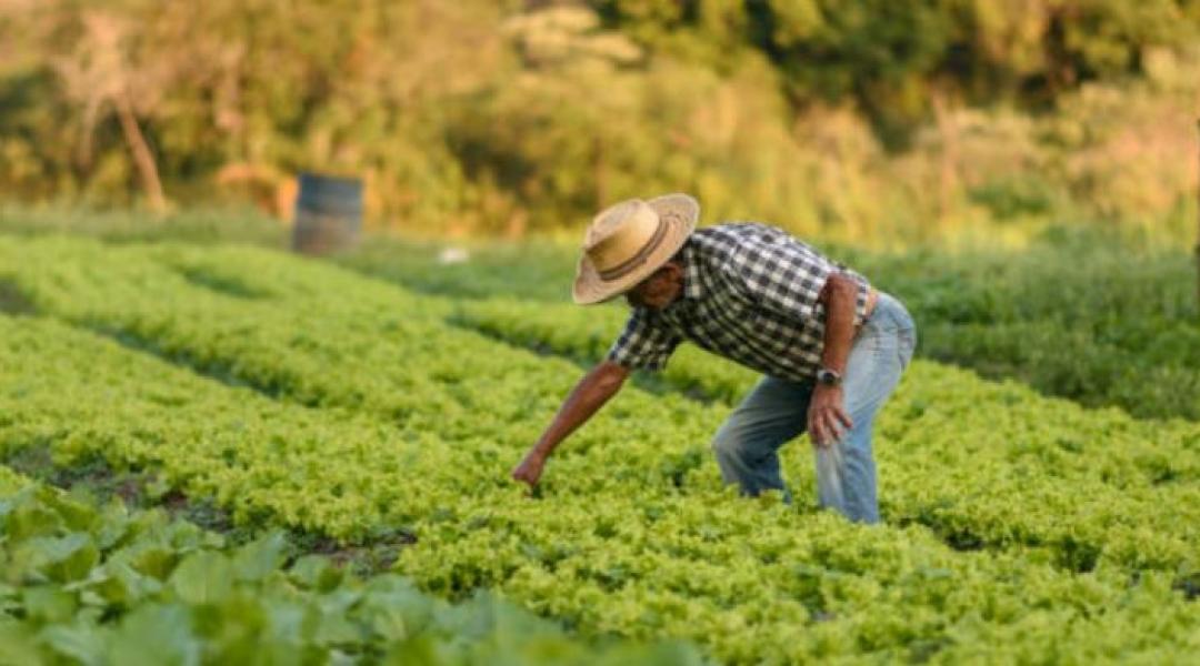 Brazíliában már várják a Mercosur-t, 25 évre (!) terveznek