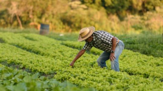 Brazíliában már várják a Mercosur-t, 25 évre (!) terveznek