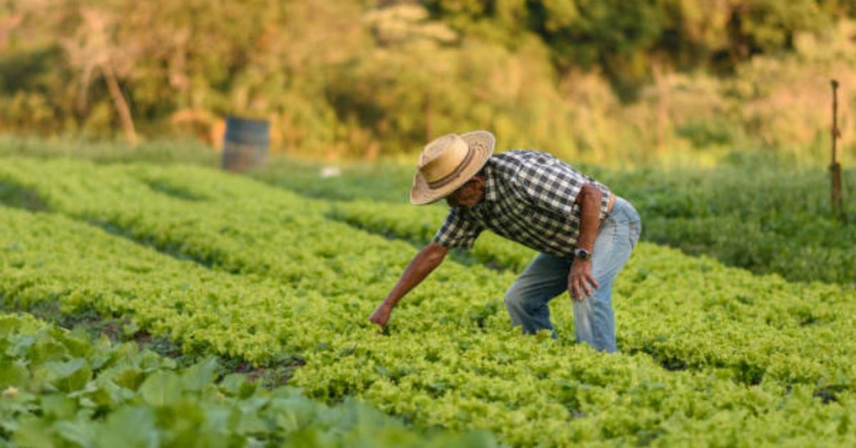 Brazíliában már várják a Mercosur-t, 25 évre (!) terveznek Brazíliában már várják a Mercosur-t, 25 évre (!) terveznek