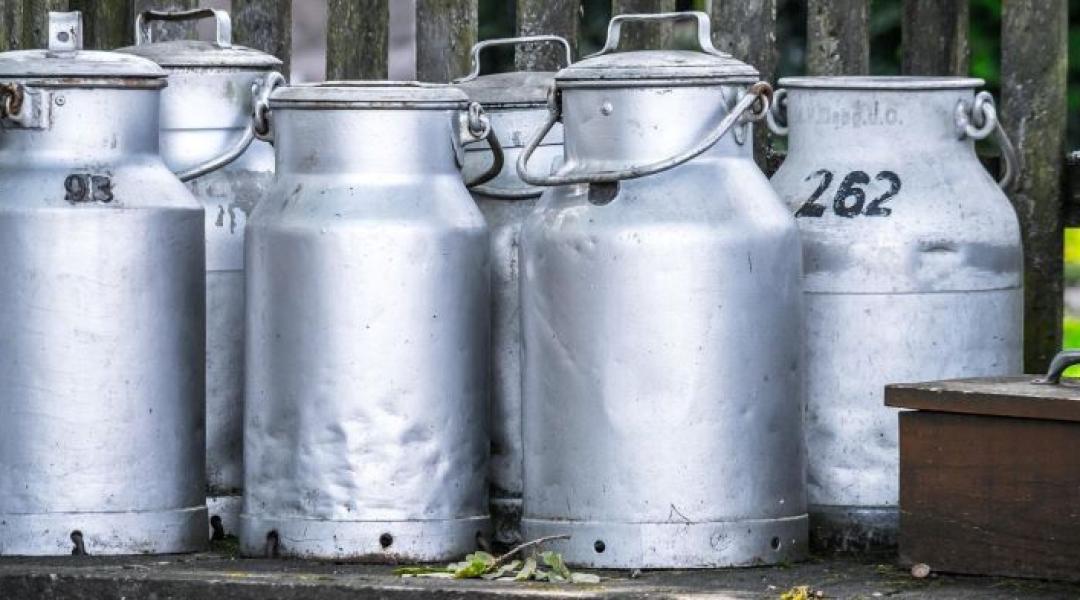 Ezért vannak bajban a tejtermelők: 170 a költség és hetvenet kapnak literjéért