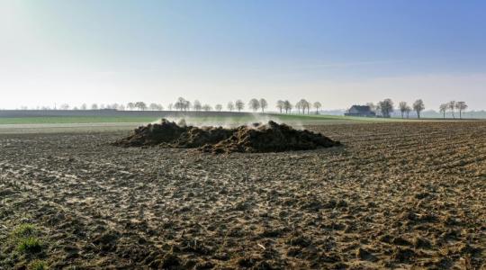 Most könnyű hibázni: tilalmak, amik támogatáslevonást hozhatnak
