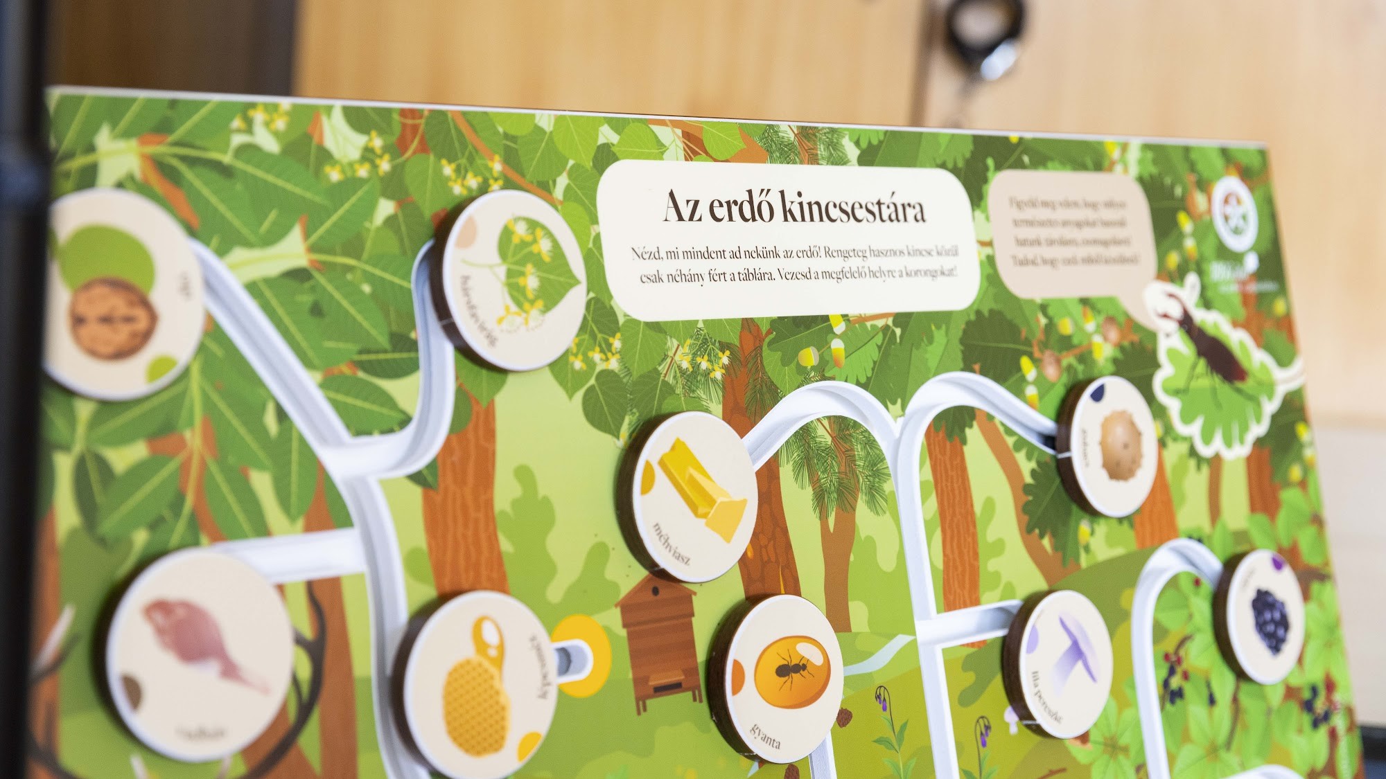 Percek alatt betelt a keret: 45 ezer diákhoz jut el az Iskolában az Erdő Program