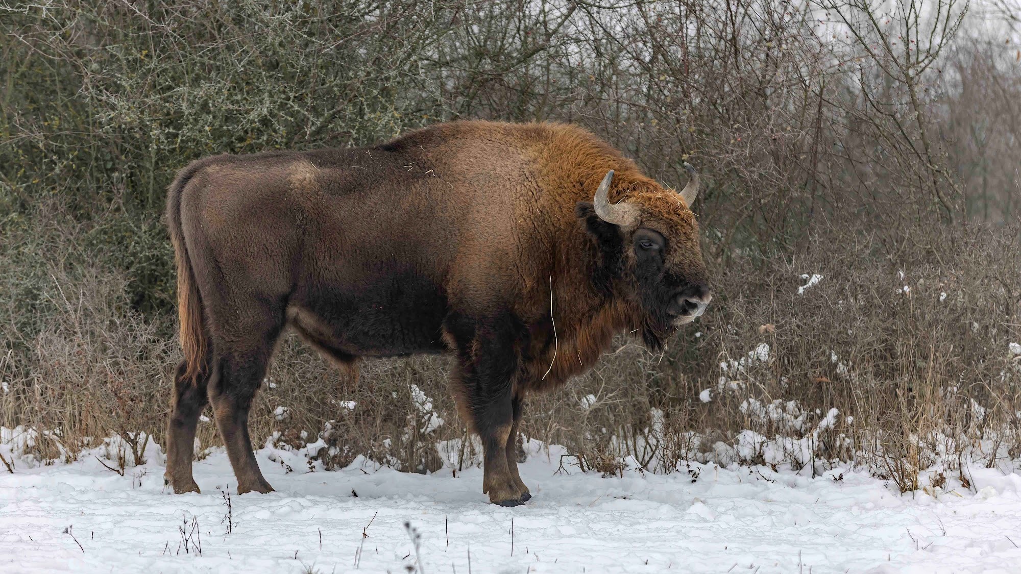 Terepjárók, drónok, éjjellátók: 190 milliós fejlesztés az Őrségi Nemzeti Park őrszolgálatánál