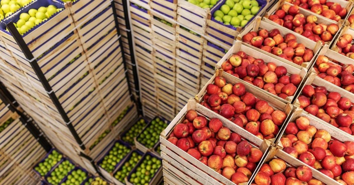 Ennyivel emelkedhet az alma ára Ennyivel emelkedhet az alma ára