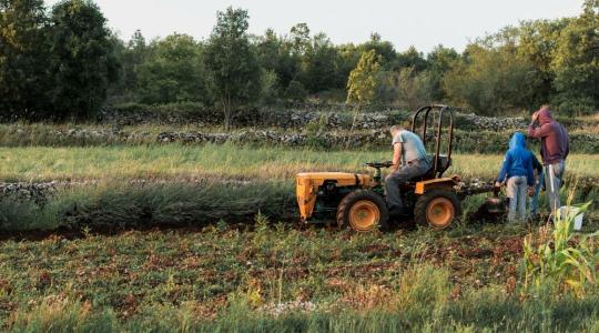 Jó hír: Idén tovább bővülnek az őstermelők adókedvezményei