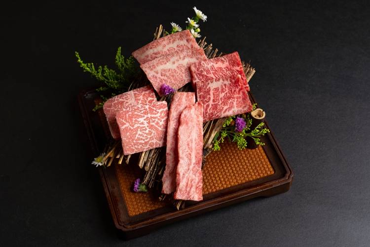 wagyu