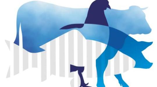 VIV Europe 2026 – Nemzetközi állattenyésztési szakkiállítás Utrechtben