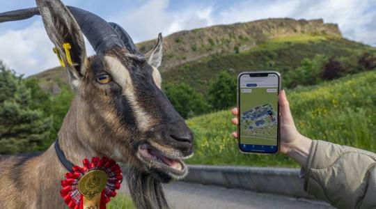 Royal Highland Show 2026 – Skócia legnagyobb mezőgazdasági vására