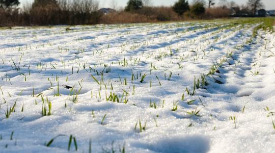 Agrometeorológia: A tél eddig a gazdák oldalán állt – mi lesz a folytatás?