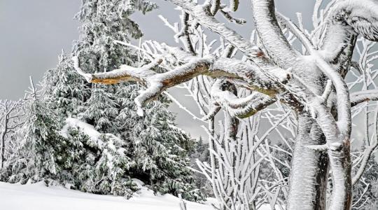 Következő napok időjárása: Visszatér a brutális tél