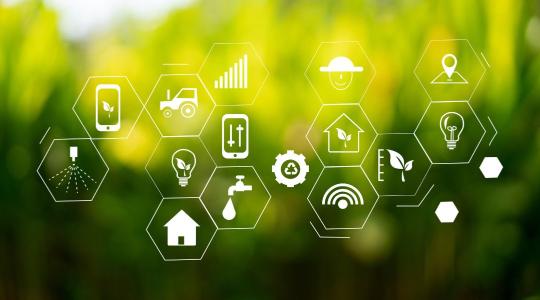 Precíz döntések valós adatok alapján