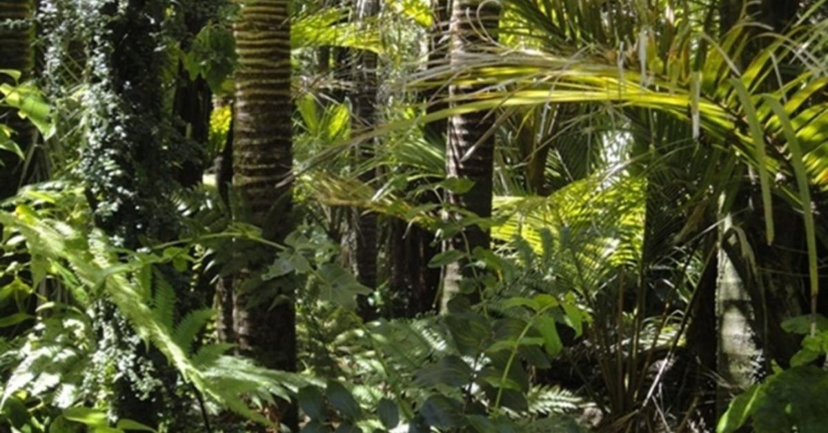 Emiatt nő a fertőző betegségek kockázata