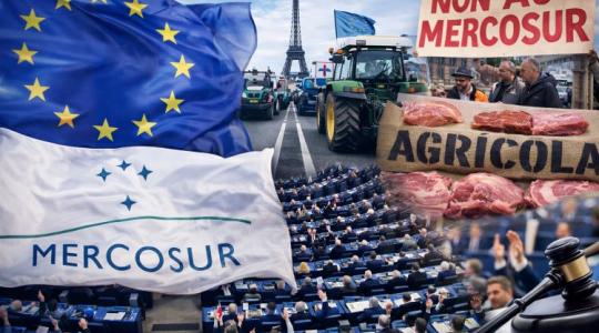 Mi következik az EU–Mercosur-megállapodásban? Aláírás után jön csak az igazi csata