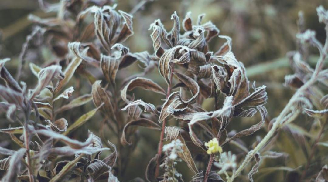 Időjárás: Január van? Január van! Sok jót ne várj +VIDEÓ