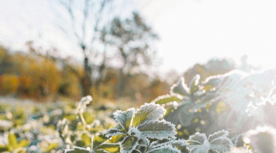 Hideg idő: vasárnap estétől extrém fagyok érkeznek