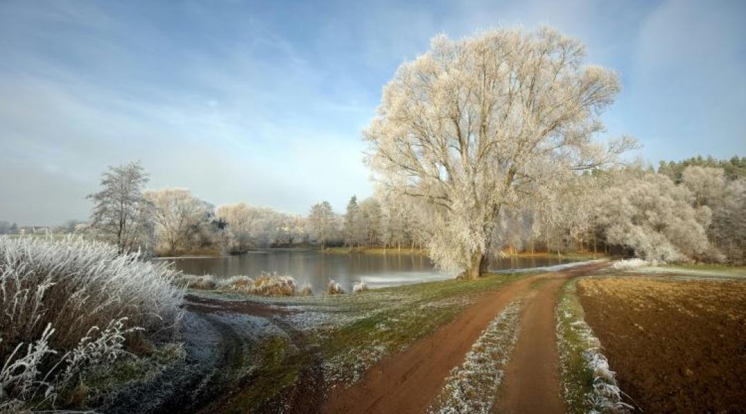 Háromnapos időjárás: Kemény fagyok és tartós köd