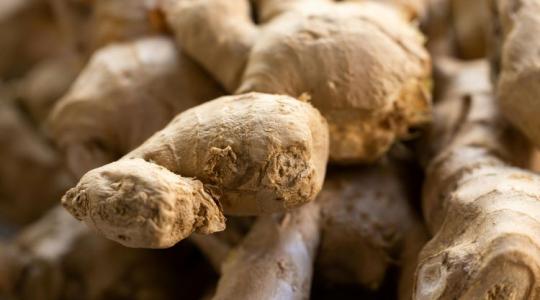 A gyömbér lett a 2026-os év gyógynövénye