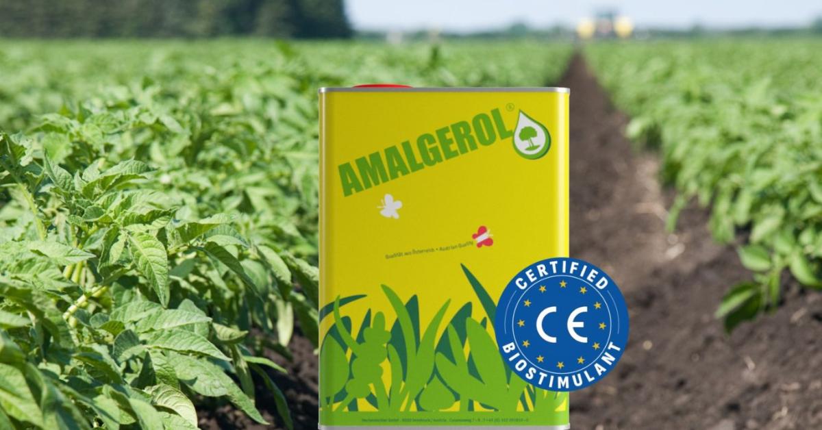 Uniós szinten is bizonyított hatékonyság: Amalgerol®